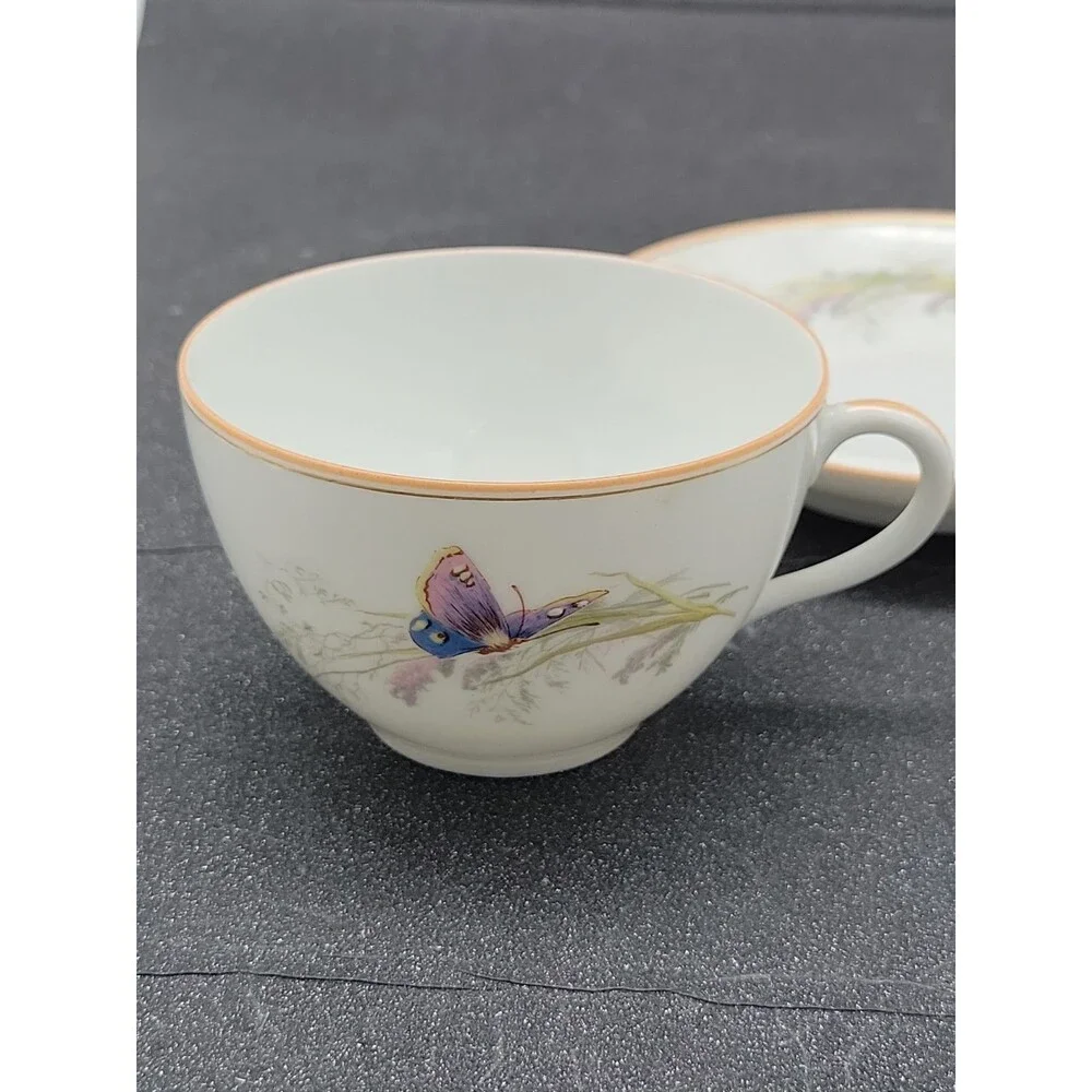 READ 2 ? Haviland Limoges ? Meadow Visitors Cup/Saucer Butterflies/Grasses